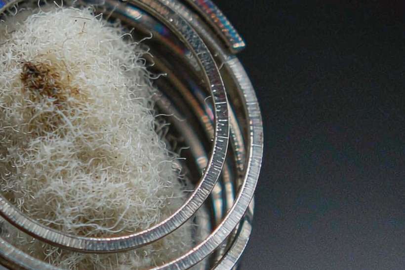 Case Study: VapeCon disposables — Spring catalog
