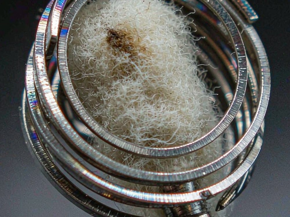 Case Study: VapeCon disposables — top rated