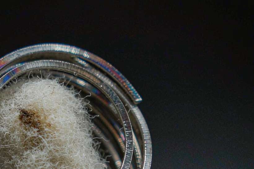 Case Study: VapeCon kits — Middle East