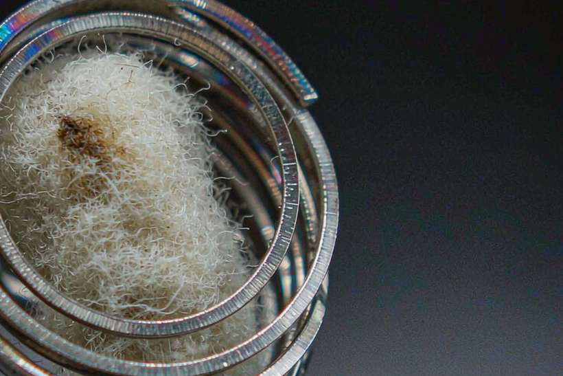 Glossary of VapeCon disposables — Middle East