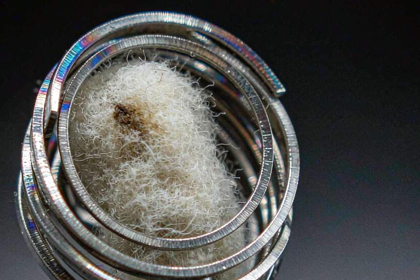 How to Store VapeCon coils — Spring catalog