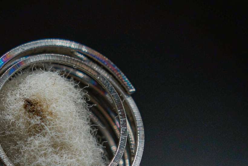 Launch Plan for VapeCon products in Naples — Autumn stock