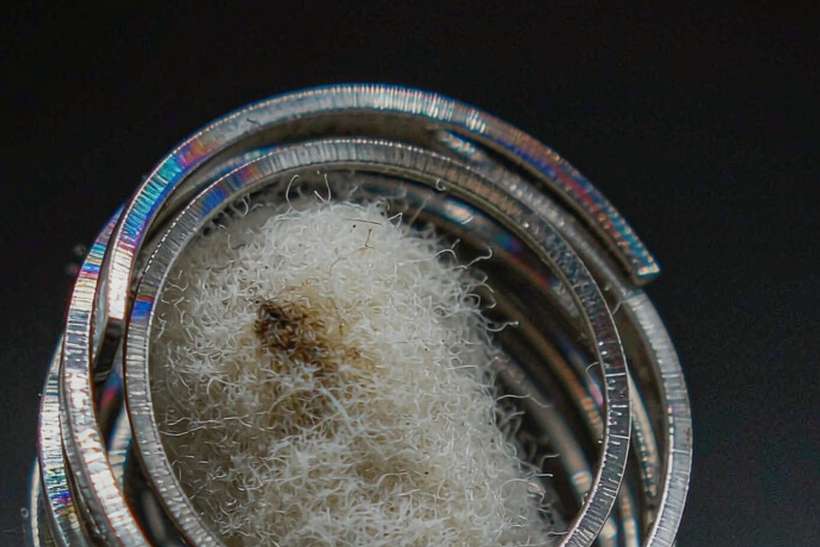 Market Overview of VapeCon disposables — Asia Pacific
