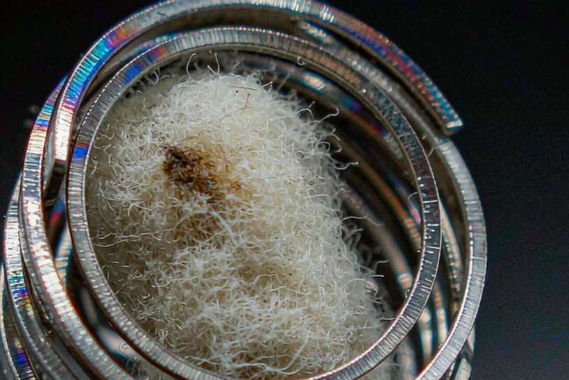 MOQ and Lead Time for VapeCon bundles — ODM ready