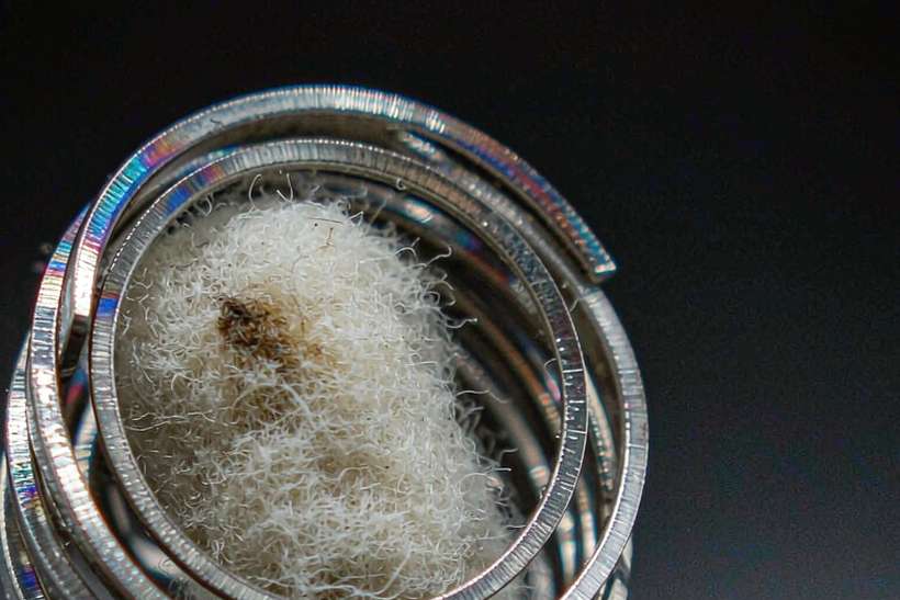 MOQ and Lead Time for VapeCon disposables — Summer deals