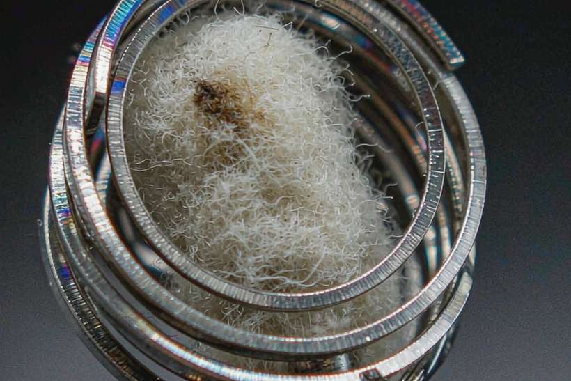MOQ and Lead Time for VapeCon e-liquid — bulk case