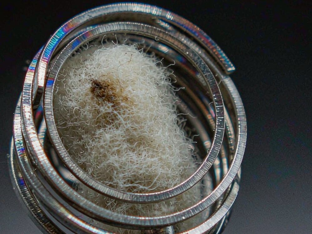 MOQ and Lead Time for VapeCon in Naples — for resellers