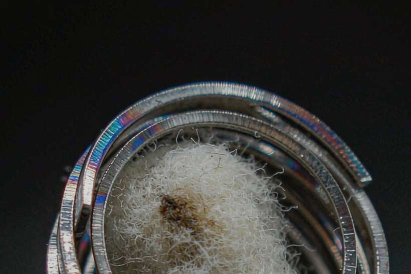 Regional Review of VapeCon coils — small parcel