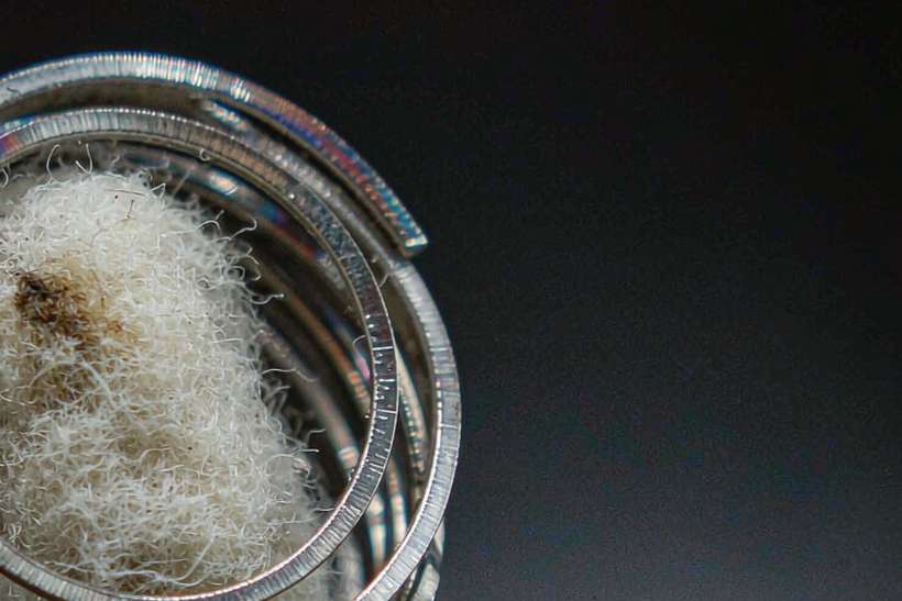 Regional Review of VapeCon kits — bulk case
