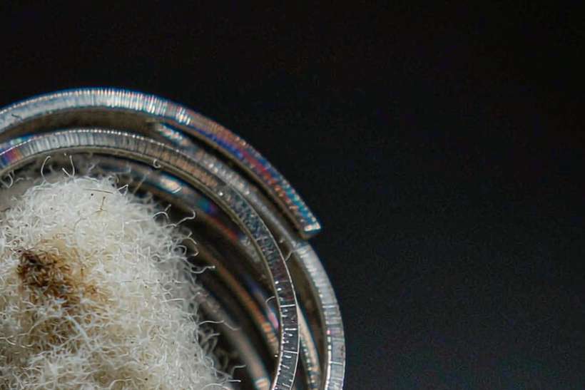 Regional Review of VapeCon kits — container load