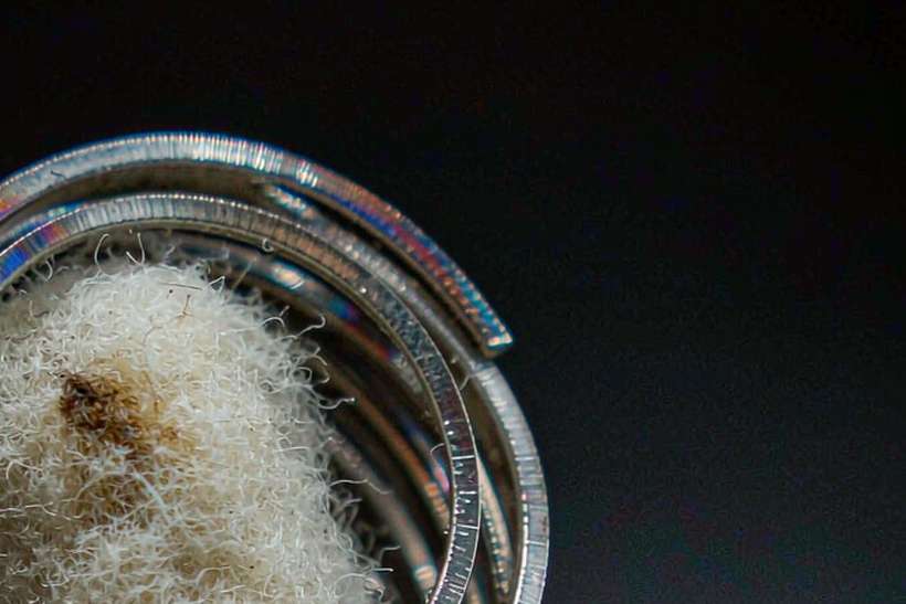 Reseller Guide to VapeCon in Naples — Winter special