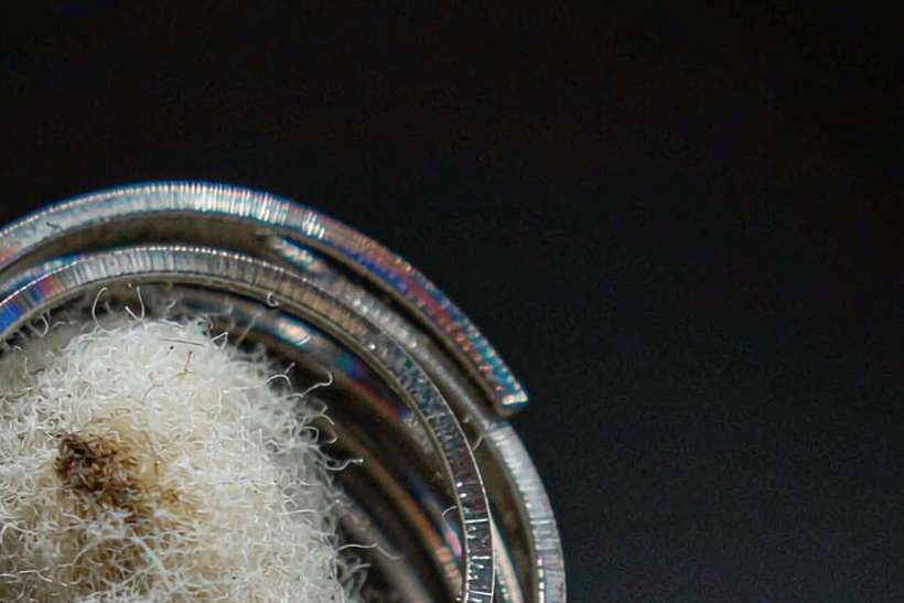 Sourcing Report on VapeCon coils — Autumn stock