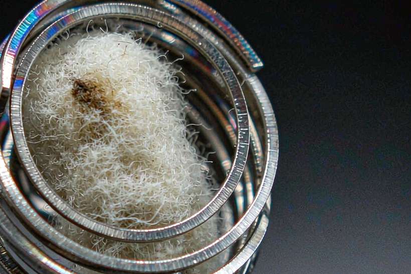 Sourcing Report on VapeCon pods — limited batch