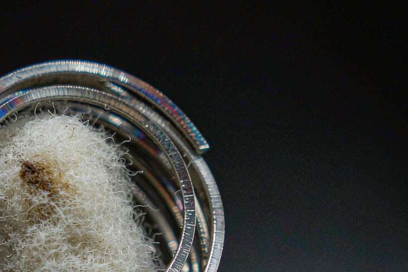 Starter Kit Guide for VapeCon in Naples — express air