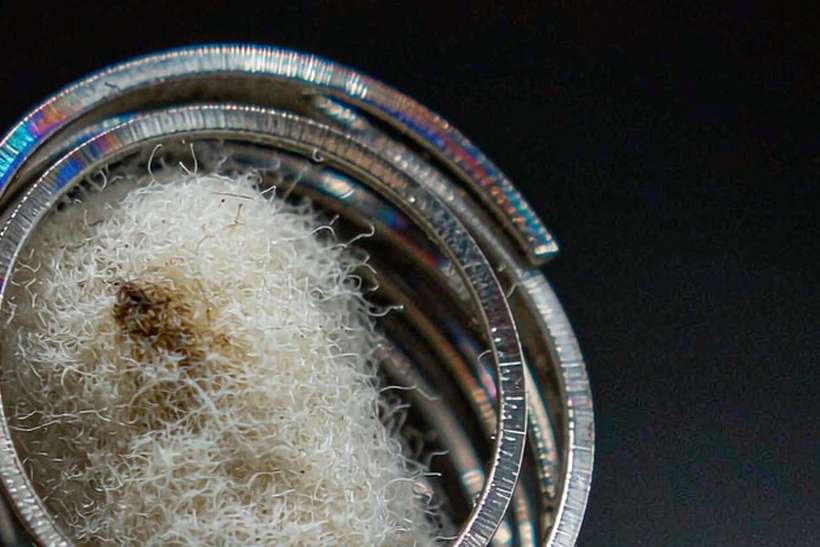 Top Picks of VapeCon accessories — OEM available