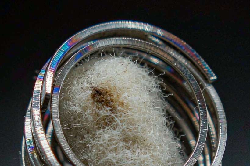 Top Picks of VapeCon disposables — small parcel