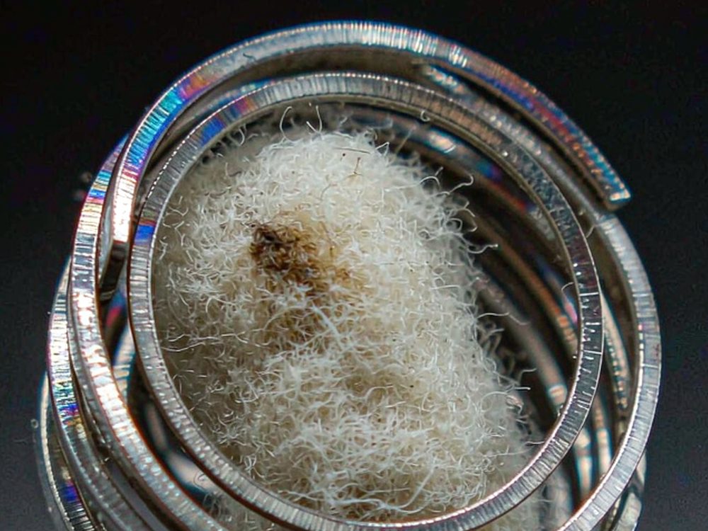 Trend Report on Naples VapeCon — new arrivals