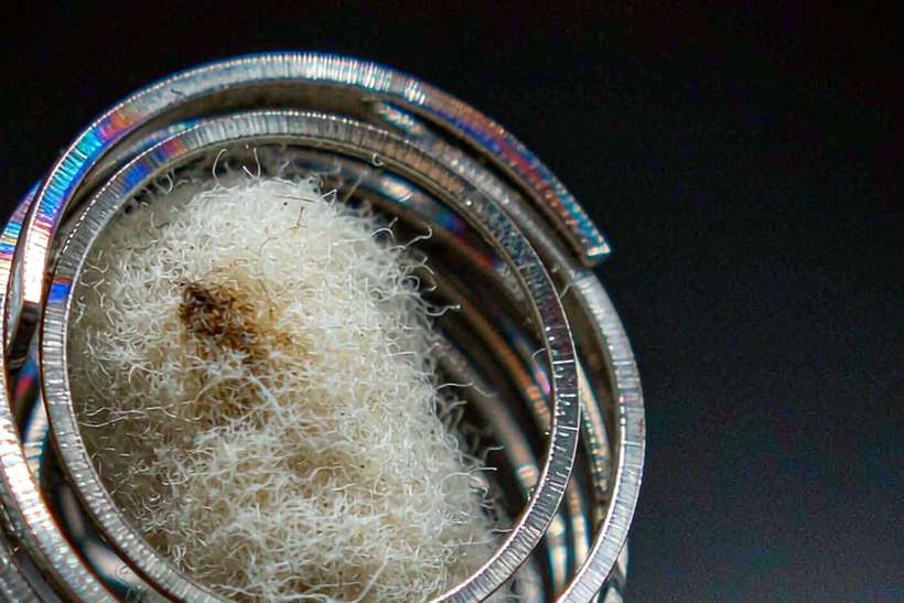 Trend Report on VapeCon disposables — limited batch