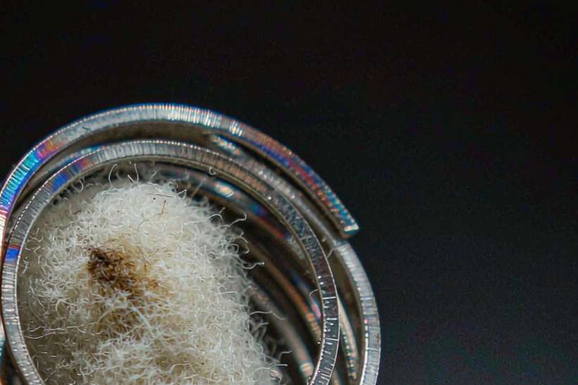 Trend Report on VapeCon products in Naples — Winter special
