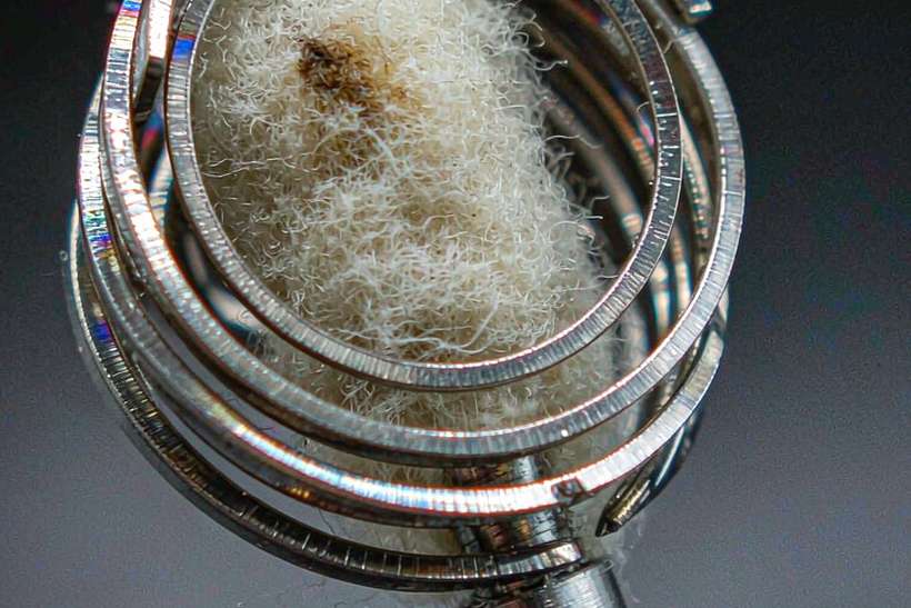 Wholesale VapeCon coils — Autumn stock